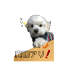 らるpart2（個別スタンプ：1）