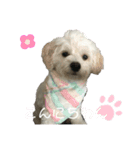 らるpart2（個別スタンプ：3）