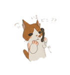 ゆるーいねこたち ピョンイラスト（個別スタンプ：6）