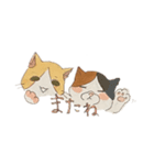 ゆるーいねこたち ピョンイラスト（個別スタンプ：16）