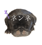 じわじわセブンさん（個別スタンプ：2）