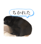 じわじわセブンさん（個別スタンプ：5）
