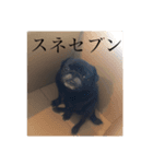 じわじわセブンさん（個別スタンプ：7）