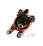 ろぃたん（個別スタンプ：4）