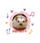 animalsスタンプショップ（個別スタンプ：1）