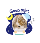 animalsスタンプショップ（個別スタンプ：2）