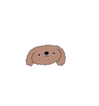 ゆるゆる プードル（個別スタンプ：4）