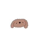 ゆるゆる プードル（個別スタンプ：6）