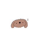 ゆるゆる プードル（個別スタンプ：13）