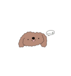 ゆるゆる プードル（個別スタンプ：19）