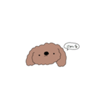 ゆるゆる プードル（個別スタンプ：20）