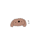 ゆるゆる プードル（個別スタンプ：34）