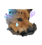 こころの1日（個別スタンプ：1）