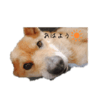 こころの1日（個別スタンプ：2）