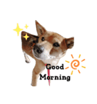 こころの1日（個別スタンプ：6）