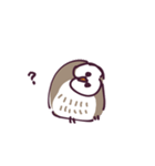 不動のフクロウ（個別スタンプ：2）