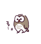 不動のフクロウ（個別スタンプ：3）