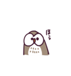 不動のフクロウ（個別スタンプ：9）