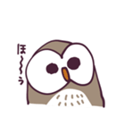 不動のフクロウ（個別スタンプ：10）