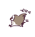 不動のフクロウ（個別スタンプ：11）