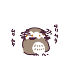 不動のフクロウ（個別スタンプ：17）