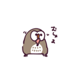 不動のフクロウ（個別スタンプ：20）