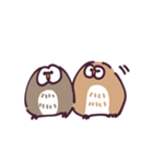 不動のフクロウ（個別スタンプ：29）
