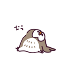 不動のフクロウ（個別スタンプ：37）