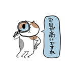 謙虚で褒め上手な猫スタンプ（個別スタンプ：12）