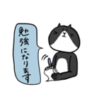 謙虚で褒め上手な猫スタンプ（個別スタンプ：13）