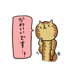 謙虚で褒め上手な猫スタンプ（個別スタンプ：30）