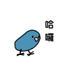ハッピーインコのバブー（個別スタンプ：1）