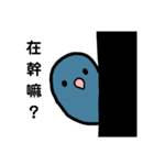 ハッピーインコのバブー（個別スタンプ：2）