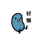 ハッピーインコのバブー（個別スタンプ：3）