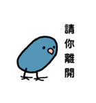 ハッピーインコのバブー（個別スタンプ：5）
