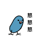 ハッピーインコのバブー（個別スタンプ：6）