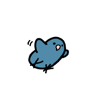 ハッピーインコのバブー（個別スタンプ：13）
