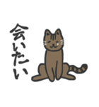 普段使いネッコ。（個別スタンプ：4）