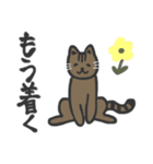 普段使いネッコ。（個別スタンプ：13）