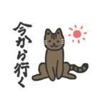 普段使いネッコ。（個別スタンプ：14）