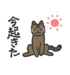 普段使いネッコ。（個別スタンプ：16）
