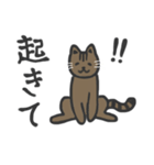 普段使いネッコ。（個別スタンプ：18）