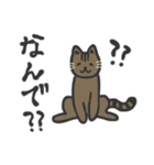 普段使いネッコ。（個別スタンプ：36）