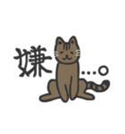 普段使いネッコ。（個別スタンプ：37）