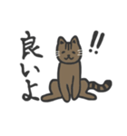 普段使いネッコ。（個別スタンプ：38）