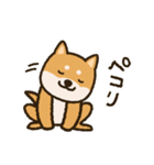 ふわもこ柴犬スタンプ2（個別スタンプ：12）