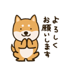 ふわもこ柴犬スタンプ2（個別スタンプ：16）