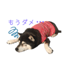 じゅん吉（個別スタンプ：8）