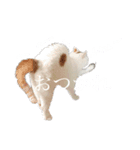 うちの猫ぐぅ（個別スタンプ：7）