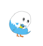 日常会話用 インコうずら君Vol.1（個別スタンプ：1）